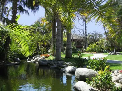 a pond in a garden with palm trees and rocks at Catamaran Resort Hotel and Spa in San Diego
