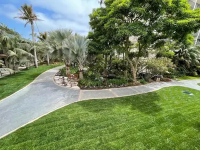 a walkway in a park with palm trees and grass at Catamaran Resort Hotel and Spa in San Diego