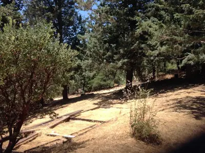 a dirt field with trees on the side of it at Time Traveler Retreat in Julian
