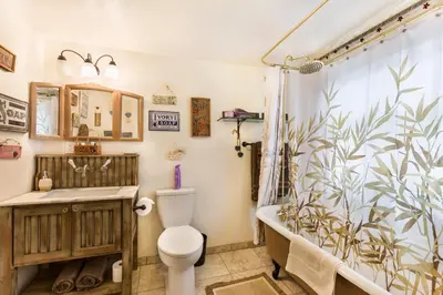 a bathroom with a shower and a toilet and a sink at Time Traveler Retreat in Julian