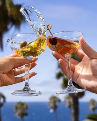 two people holding up glasses of alcohol at Cormorant Boutique Hotel in San Diego