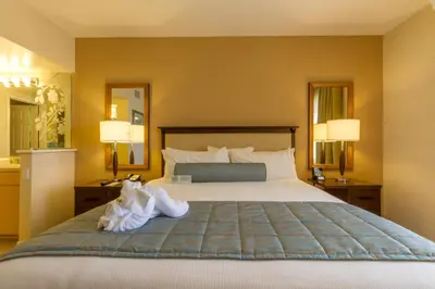 a hotel room with a bed with a cat laying on it at Grand Pacific Palisades Resort in Carlsbad