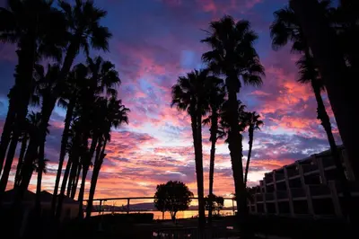 a sunset with palm trees in front of a building at Coronado Island Marriott Resort & Spa in San Diego