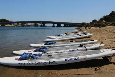 a row of kayaks lined up on the beach at Courtyard San Diego Airport/Liberty Station in San Diego