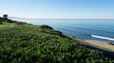 a grassy hill next to a body of water at DoubleTree by Hilton San Diego Del Mar in San Diego