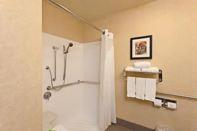 a bathroom with a shower with a shower curtain at Holiday Inn Express Temecula by IHG in Temecula