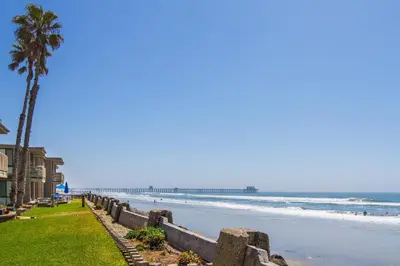 a beach with a palm tree and a pier at Condo in Beachfront Resort B-212 in Oceanside