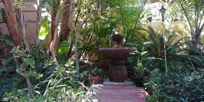 a garden with a large urn in the middle at Casa Tranquility in San Diego