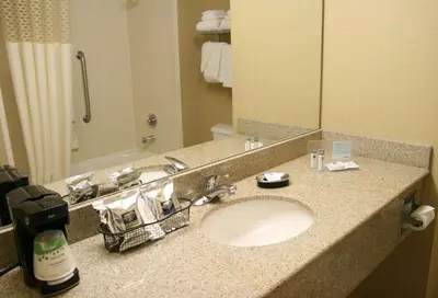 a bathroom counter with a sink and a mirror at Hampton Inn San Marcos in San Marcos