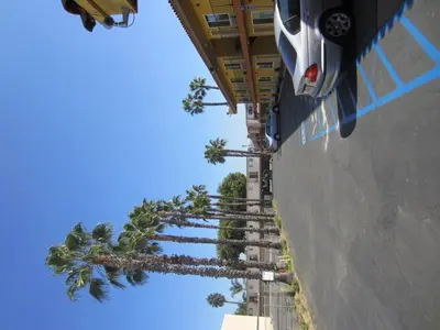 a view of a stairway with palm trees in front of a building at Northgate Motel in El Cajon