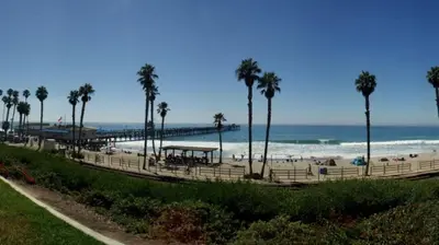 a beach with palm trees and the ocean at Rodeway Inn San Clemente in San Clemente