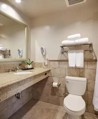 a bathroom with a toilet and a sink and a mirror at Ayres Hotel & Spa Mission Viejo - Lake Forest in Mission Viejo