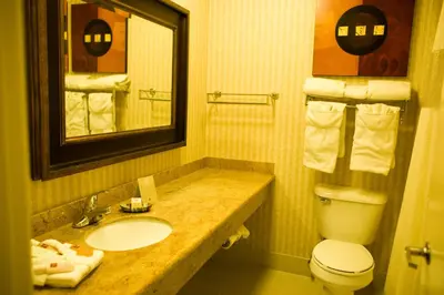 a bathroom with a sink and a toilet and a mirror at Borrego Springs Resort in Borrego Springs