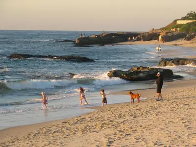 a group of people and a dog on the beach at The Shoal Hotel La Jolla Beach in San Diego