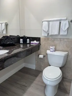 a bathroom with a white toilet and a sink at Econo Lodge Lake Elsinore Casino in Lake Elsinore