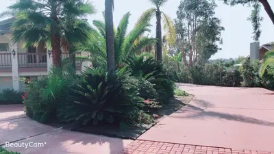 a courtyard with palm trees and a sidewalk at Rancho Garden Home in Rancho Santa Fe