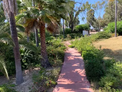a path through a park with palm trees at Rancho Garden Home in Rancho Santa Fe