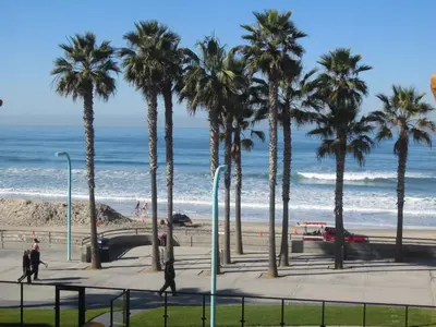 a group of palm trees on a sidewalk near the beach at Ocean Park Inn in San Diego
