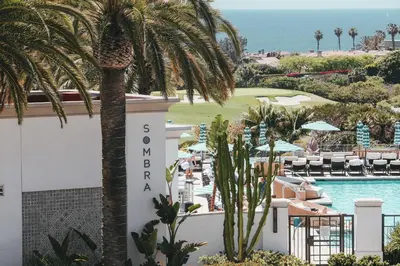 a view of the pool at the resort with a palm tree at Waldorf Astoria Monarch Beach Resort & Club in Dana Point