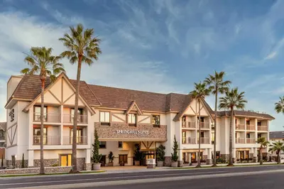 a rendering of a hotel with palm trees at SpringHill Suites by Marriott San Diego Carlsbad in Carlsbad