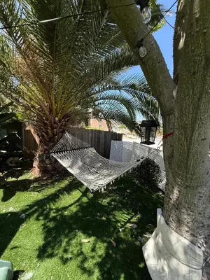 a hammock in a palm tree in a yard at Casita San Diego in San Diego