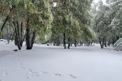 a snow covered park with trees and footprints in the snow at Pine Hills Cabin in Julian in Julian