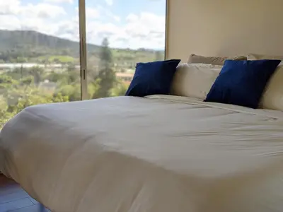 a bed with blue pillows in a room with a window at Buena Creek Vista Primary Subdivided Home with Views and Pool in San Marcos