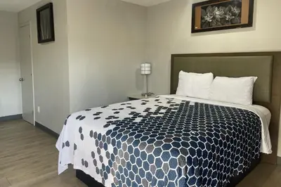 a bedroom with a bed with a black and white comforter at Big 7 Motel Chula Vista I-5 in Chula Vista