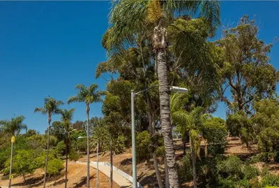 a palm tree next to a street light at Cozy Studio next to San Diego DT and Balboa Park in San Diego