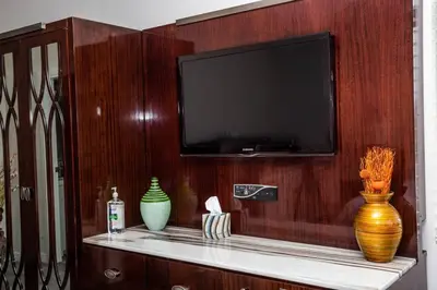 a tv on a wooden wall with vases on a shelf at Downtown View 4 Sleepers Studio- Great for Getaway in San Diego