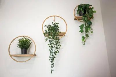 two mirrors with plants on a white wall at Steps to Balboa Park- Brand New Apt - Cozy Studio in San Diego