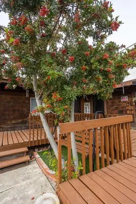 a wooden bench next to a tree with red flowers at Big Studio with Ocean View max 6 sleepers in San Diego