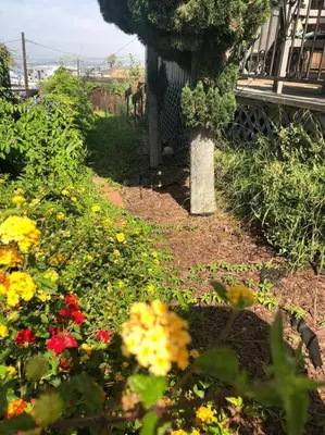 a garden with colorful flowers in a yard at Special Studio in Center of San Diego in San Diego