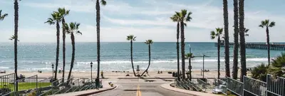 a view of a beach with palm trees and the ocean at Huge Oceanside Private 2BR Apartment-Pool-Gym-Spa in Oceanside