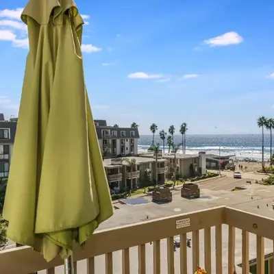C300 Mid-Century Palm Paradise