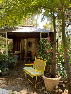 a yellow chair and a tree in a yard at Coastal Hideaway in Carlsbad