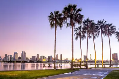 a group of palm trees next to a body of water at Imperial Beach Club in Imperial Beach