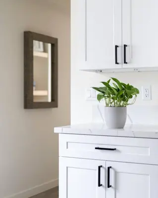 a white kitchen with a potted plant on a counter at The Rosemont III - La Jolla Luxury in San Diego