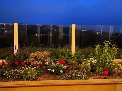 a garden of flowers with a city in the background at Rare Newport Coast Home for July & August this Summer in Newport Beach