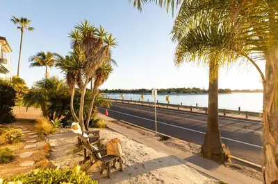 a street with palm trees and a road at Kokomo by AvantStay Bayside Getaway w Fire Pit Large Outdoor Patio in San Diego