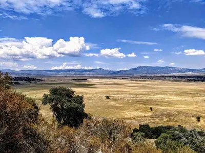 an open field with cows in a field with mountains at #6 The Hawks Hideout Cabin in Santa Ysabel