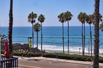 a view of a beach with palm trees and the ocean at Fantastic Ocean View Remodeled All New Furnishings Pet Friendly AC in Oceanside
