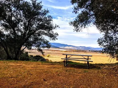a picnic bench sitting in the middle of a field at The Luminous Lodge-Remodeled Cabin W/ Valley Views in Santa Ysabel