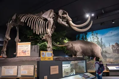 a skeleton of an elephant and a dinosaur in a museum at Stallion Crest Suite with TV and private bathroom in Hemet