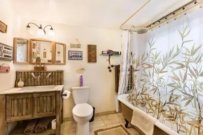 a bathroom with a shower and a toilet and a sink at Historical Cabin in Julian Pet's okay! in Julian