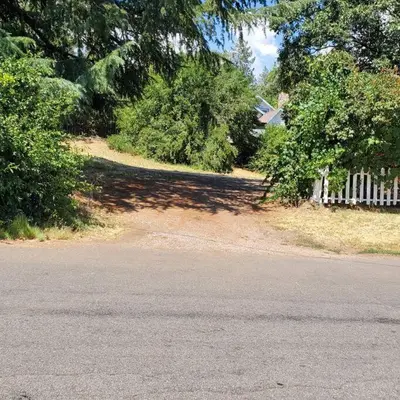 a road with a fence and trees and a house at Cozy, Cheerful & Charming Cabin - Historic Julian in Julian
