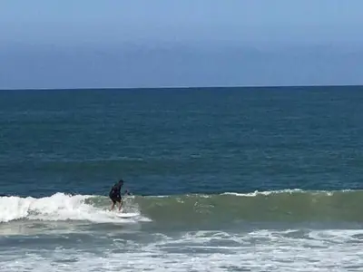 a man riding a wave on a surfboard in the ocean at Blue Whale Inn San Clemente Charmer Unit A in San Clemente