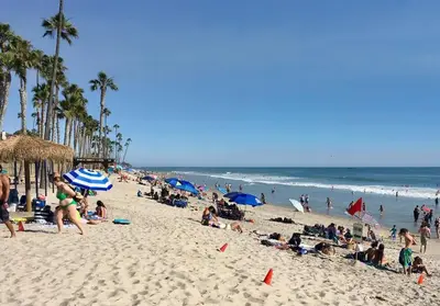 a crowd of people on a beach with palm trees at Blue Whale Inn Pet and Kid Friendly Unit C in San Clemente
