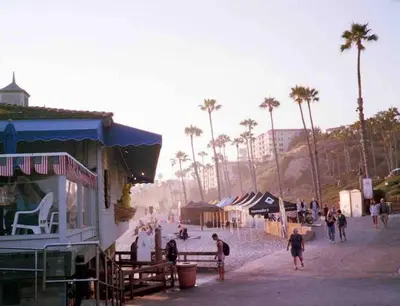 a group of people walking on a beach with palm trees at Blue Whale Inn Pet and Kid Friendly Unit C in San Clemente