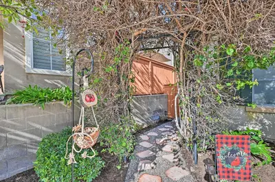 a garden with a swing and a tree at Chula Vista Studio with Hot Tub about 9 Mi to Downtown in Chula Vista